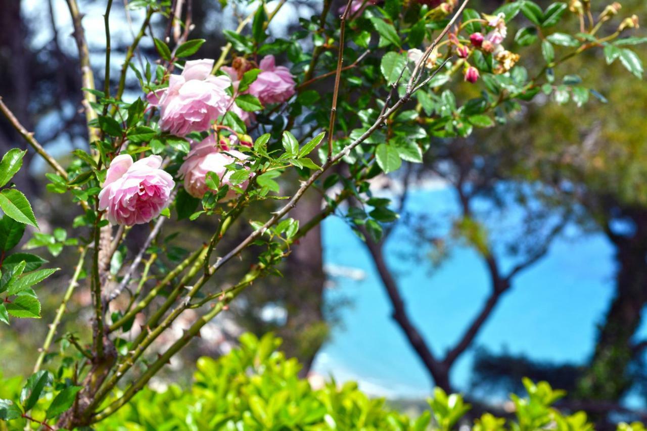 Torre Alpicella Holiday Home, A Scenic Escape Into Nature And Relaxation Diano Marina Eksteriør bilde